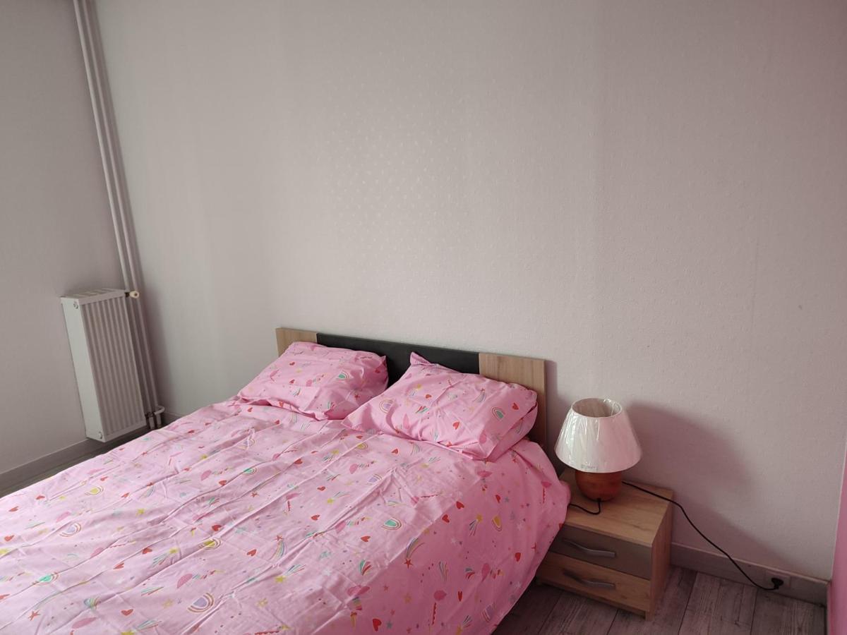 Grand Et Superbe Appartement Proche Paris Creil Ngoại thất bức ảnh